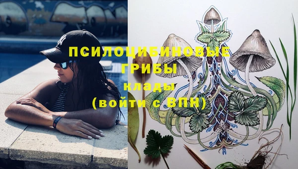 индика Абаза