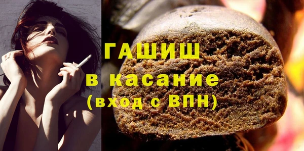 индика Абаза