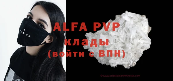 индика Абаза