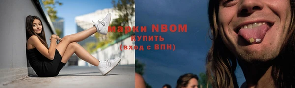индика Абаза
