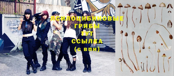 а пвп мука Абдулино
