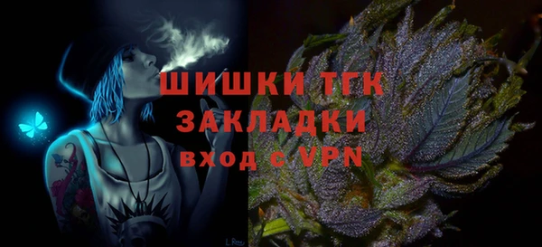 индика Абаза