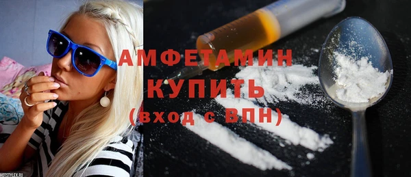 индика Абаза