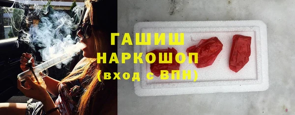 индика Абаза