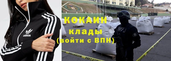 индика Абаза