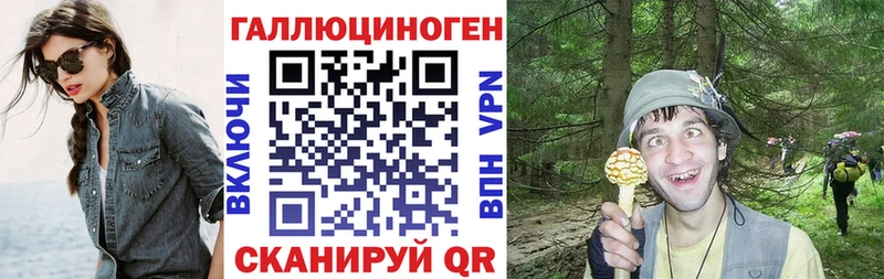 наркотики Власиха Галлюциногенные грибы мицелий